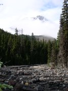 Newton Creek Oct 16 2005 058 